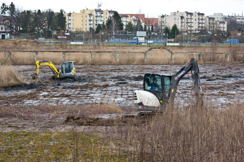 Porządkują nieckę byłego basenu zdjęcie nr 256381