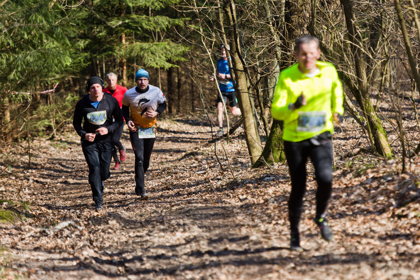 Wiosnę rozpoczęli od półmaratonu zdjęcie nr 257486