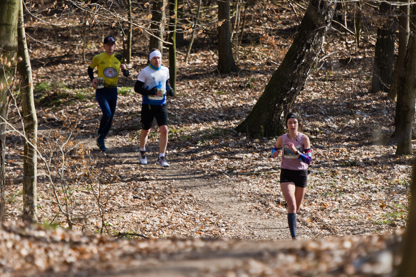 Wiosnę rozpoczęli od półmaratonu zdjęcie nr 257480