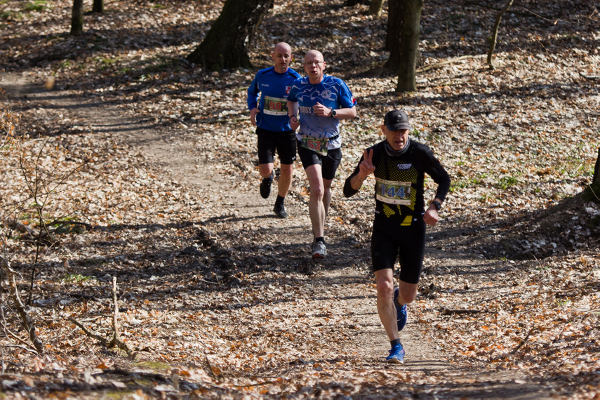 Wiosnę rozpoczęli od półmaratonu zdjęcie nr 257481