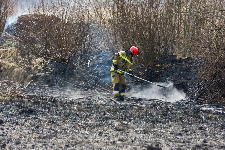 Pożar traw w Gronowie Górnym zdjęcie nr 258053
