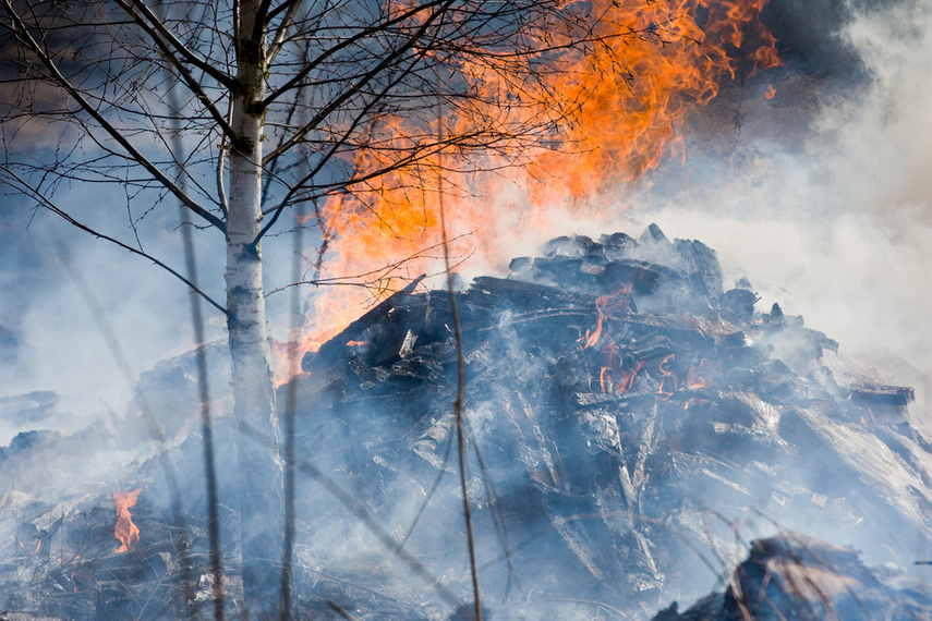 Pożar traw w Gronowie Górnym zdjęcie nr 258067