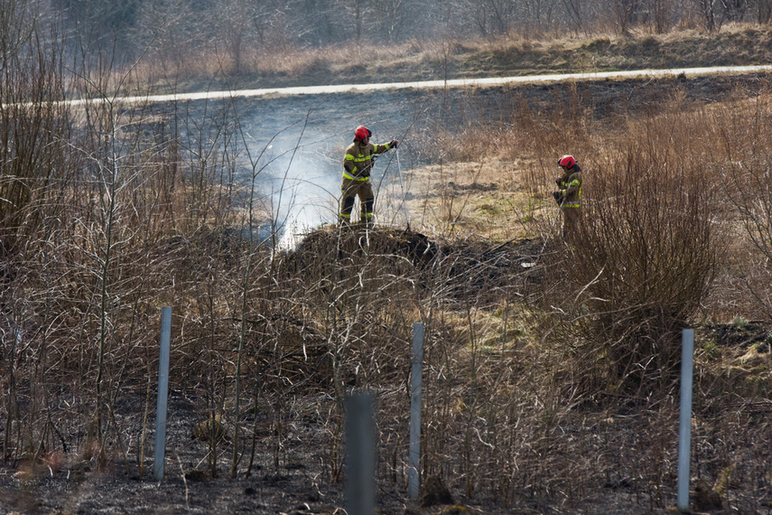 Pożar traw w Gronowie Górnym zdjęcie nr 258069