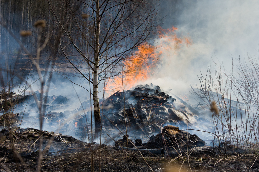 Pożar traw w Gronowie Górnym zdjęcie nr 258068