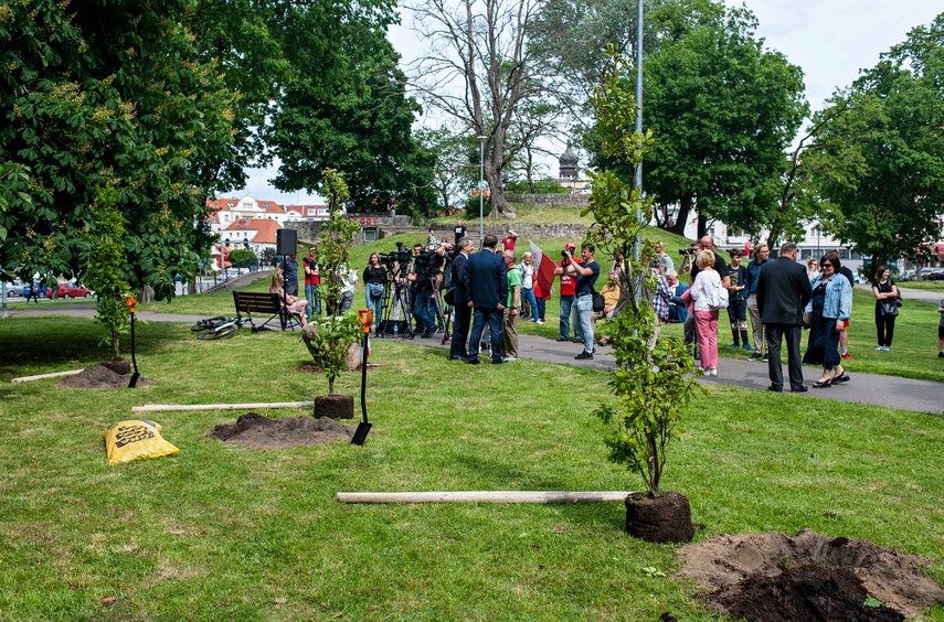 Elbląg „Wolności trzeba strzec”