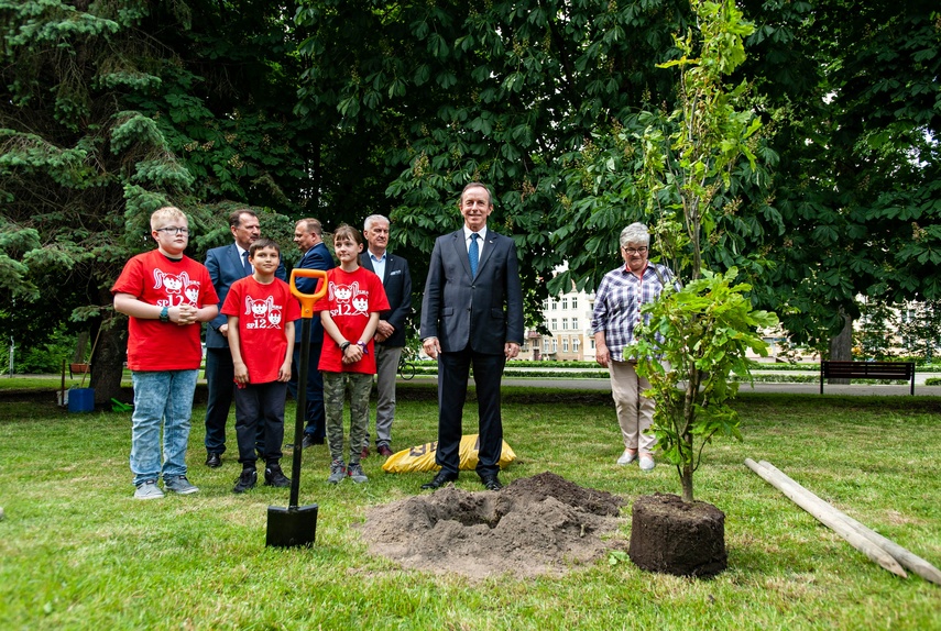 „Wolności trzeba strzec” zdjęcie nr 262204