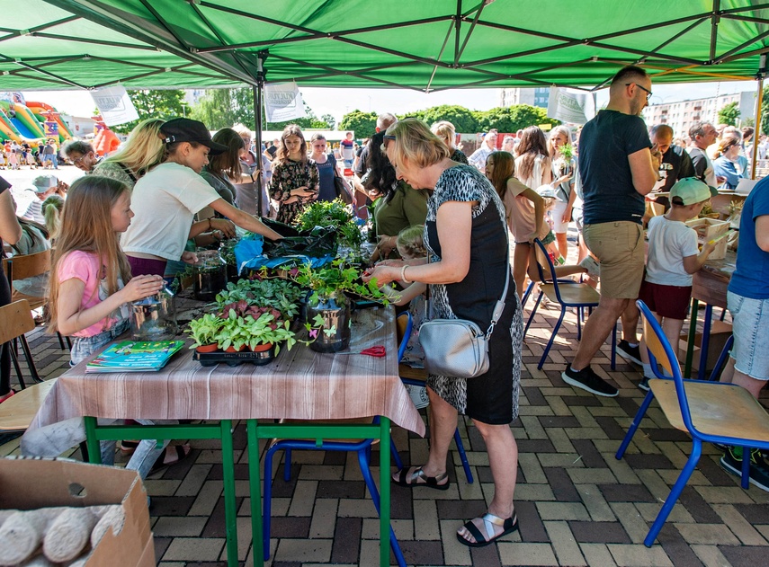 Wymieniali odpady na rośliny zdjęcie nr 262620