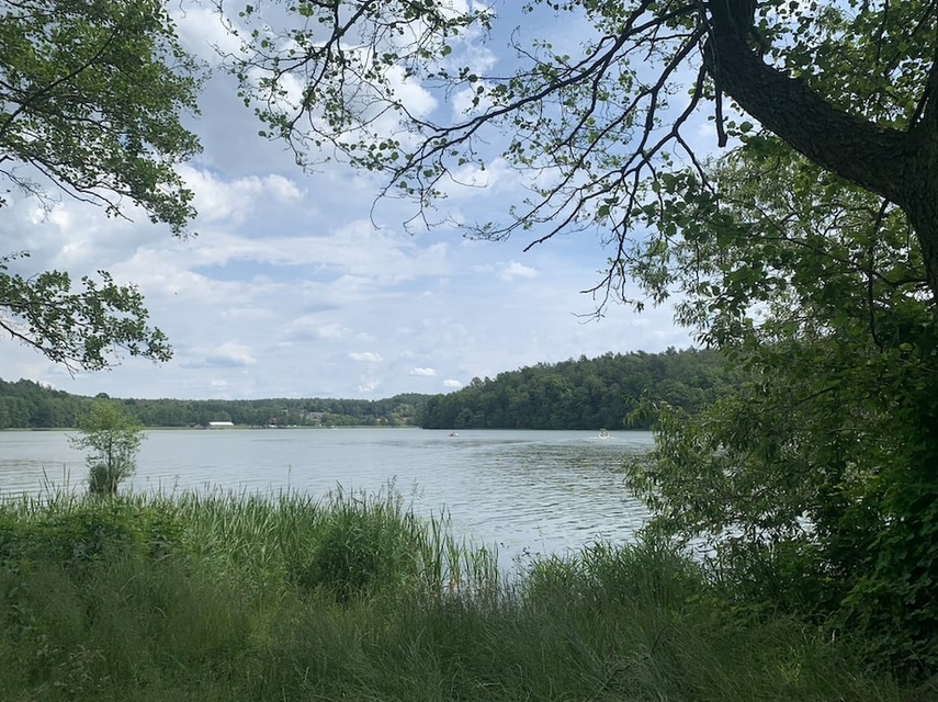 Elbląg Śladami fortów nad Szelągiem