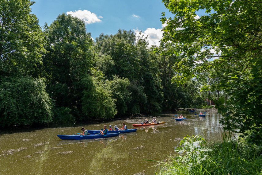 Kajakiem wokół Wyspy Spichrzów (portEl testuje)  zdjęcie nr 264501