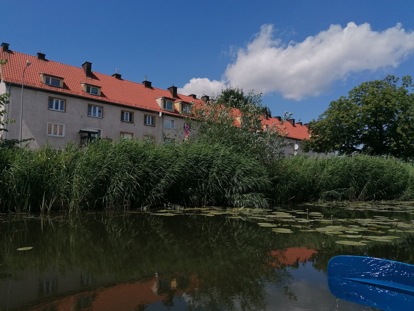 Kajakiem wokół Wyspy Spichrzów (portEl testuje)  zdjęcie nr 264568