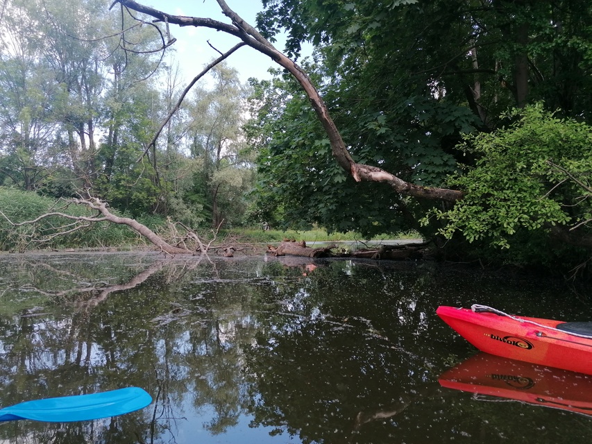 Kajakiem wokół Wyspy Spichrzów (portEl testuje)  zdjęcie nr 264554