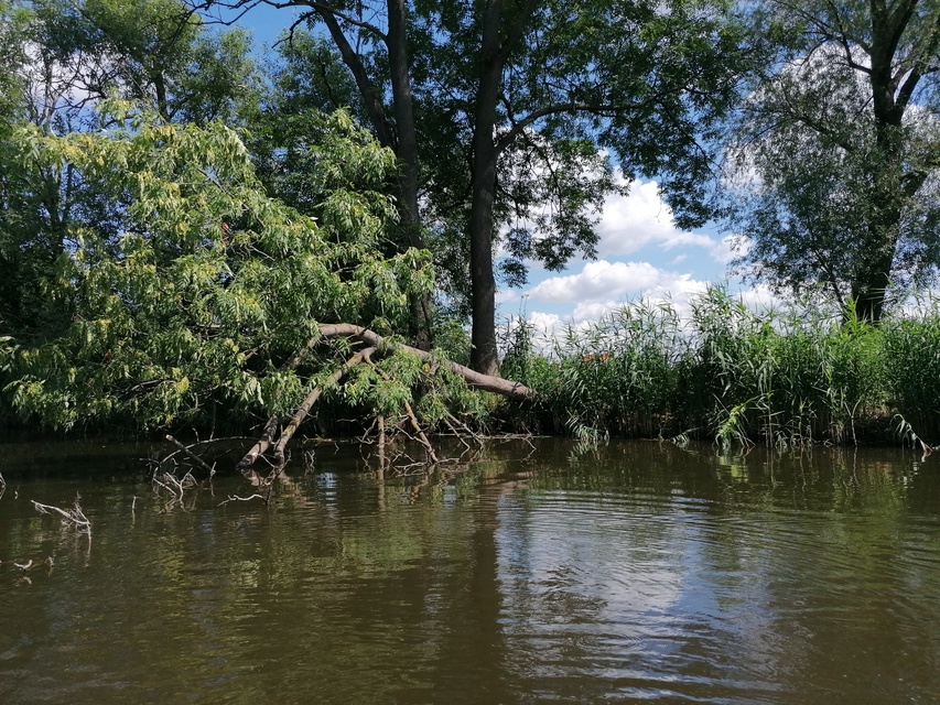 Kajakiem wokół Wyspy Spichrzów (portEl testuje)  zdjęcie nr 264553