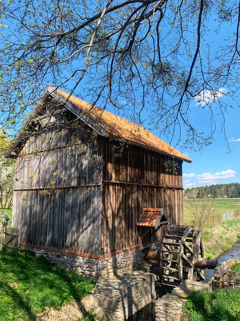 Elbląg Podróż do przeszłości, czyli skansen w Olsztynku