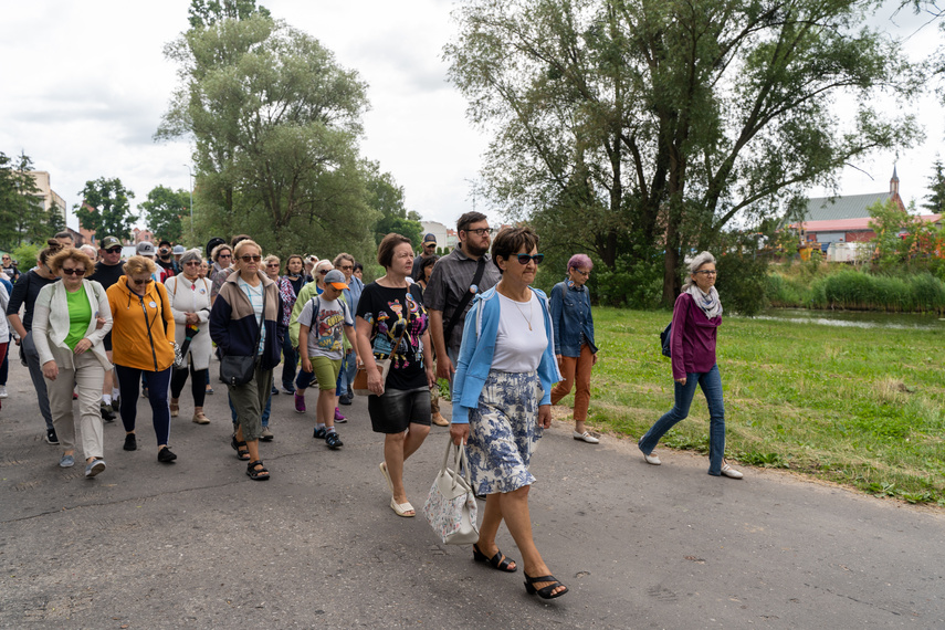 Szwedzkim śladem po Elblągu zdjęcie nr 264803