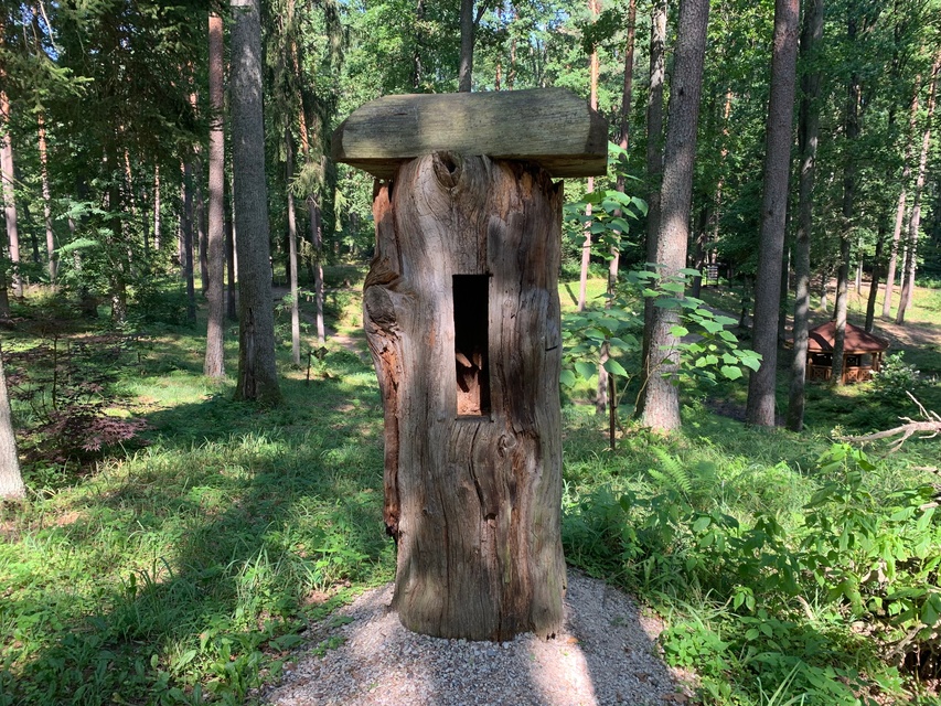 Leśne Arboretum Warmii i Mazur zdjęcie nr 268366