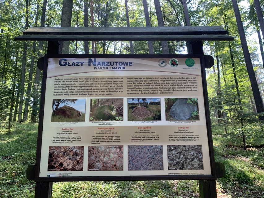 Leśne Arboretum Warmii i Mazur zdjęcie nr 268363