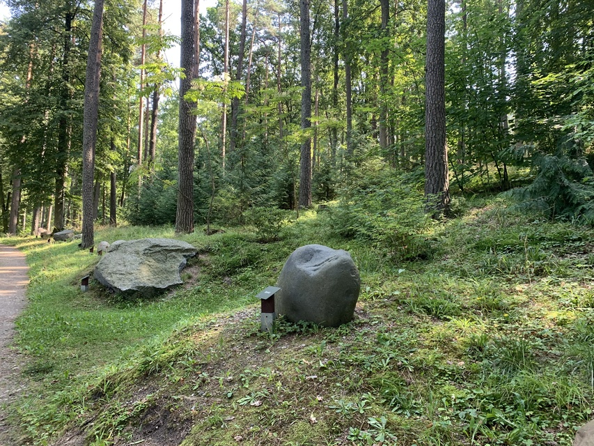 Leśne Arboretum Warmii i Mazur zdjęcie nr 268365