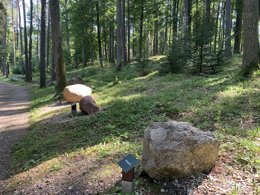 Leśne Arboretum Warmii i Mazur zdjęcie nr 268364