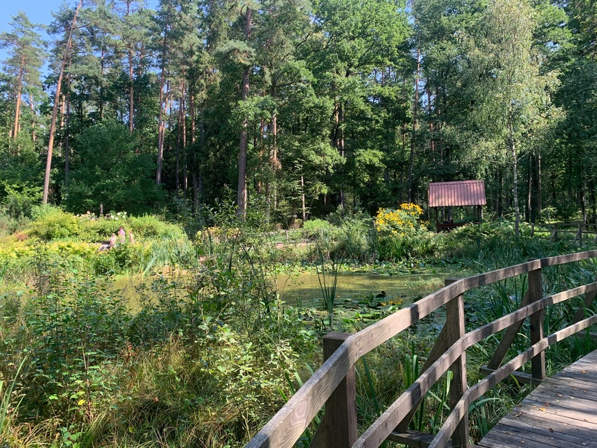 Leśne Arboretum Warmii i Mazur zdjęcie nr 268370