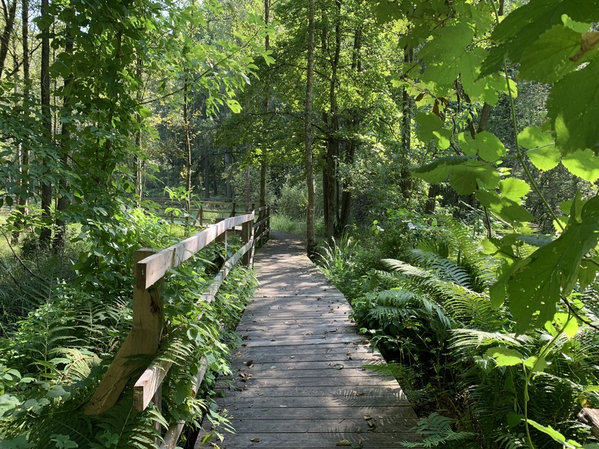 Leśne Arboretum Warmii i Mazur zdjęcie nr 268362