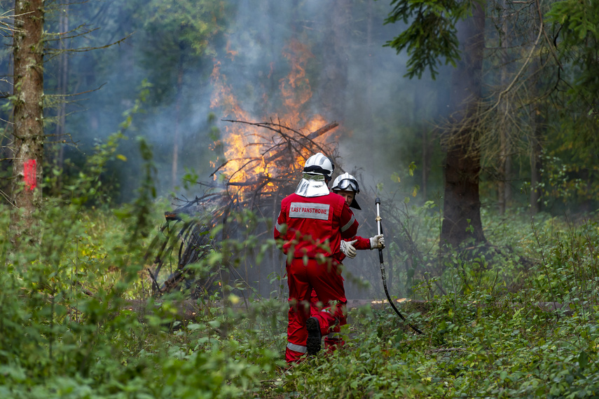 Baza 2022, czyli tak ćwiczą służby ratownicze zdjęcie nr 270917