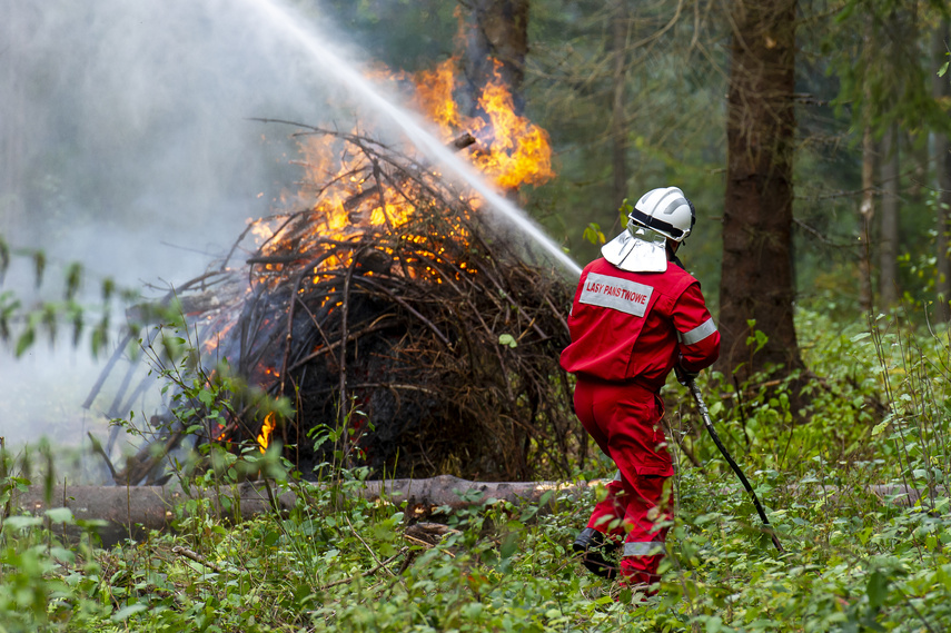 Baza 2022, czyli tak ćwiczą służby ratownicze zdjęcie nr 270919