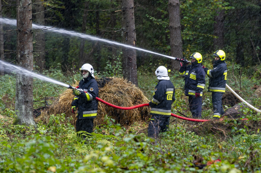 Baza 2022, czyli tak ćwiczą służby ratownicze zdjęcie nr 270892