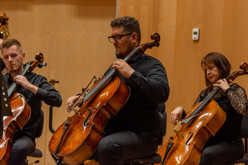 Duet i kameraliści zdjęcie nr 271643