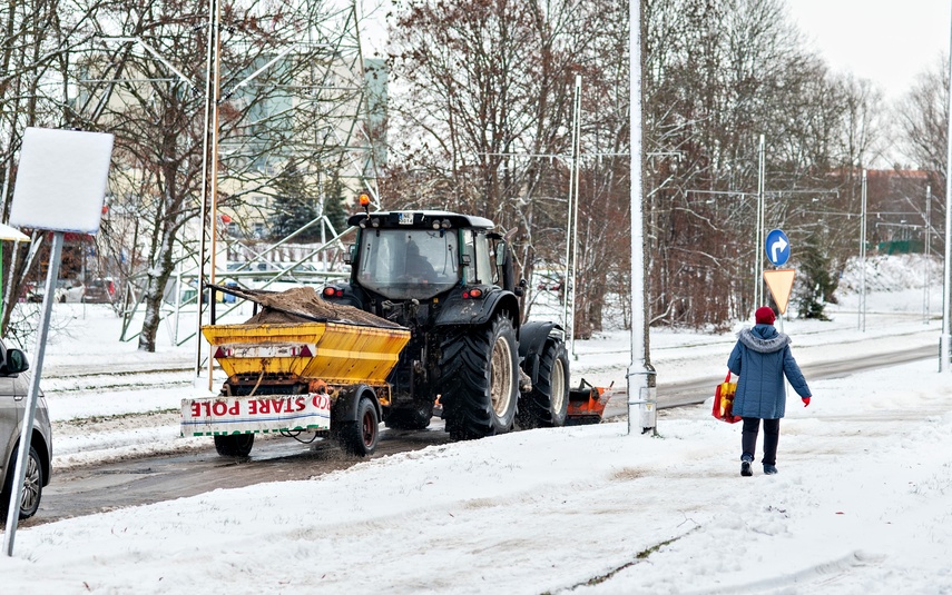 Zimowy Elbląg zdjęcie nr 274972