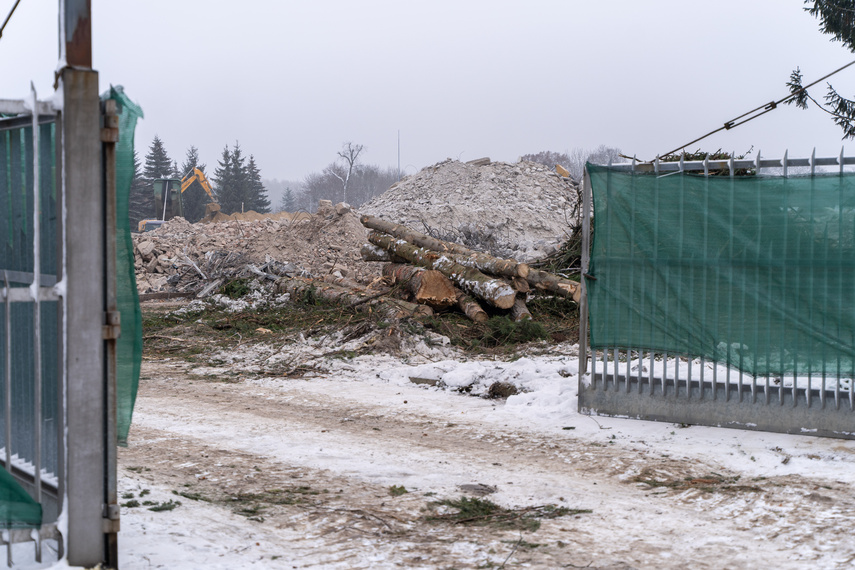 Elbląg „Rosło tu dużo drzew, dlaczego je wycięto?”