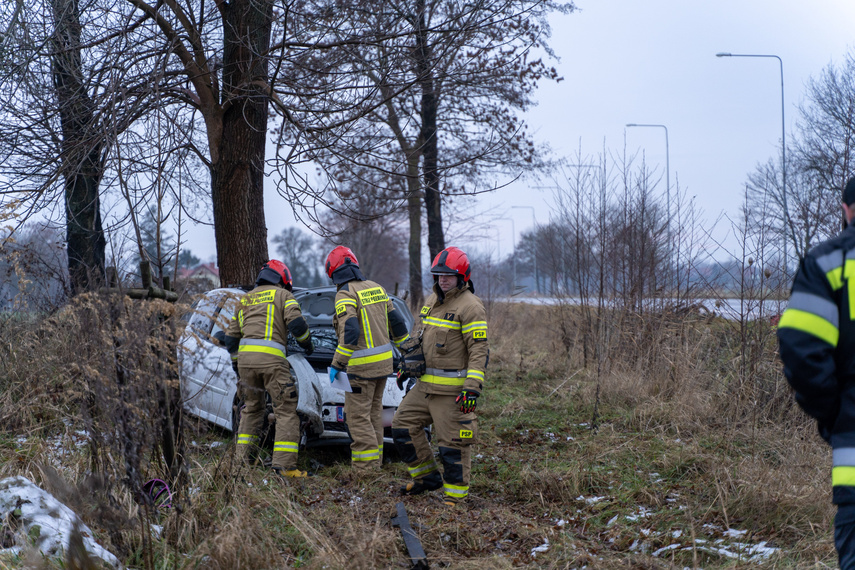 Elbląg 19-latka uderzyła w drzewo na starej siódemce