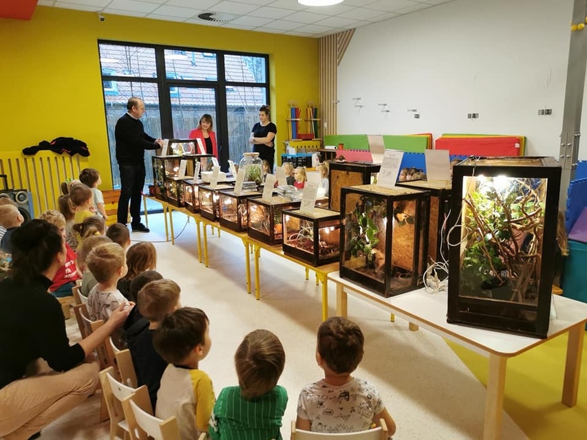 Przedszkole i Zerówka Małego Europejczyka – wspaniała zabawa i edukacja na najwyższym poziomie zdjęcie nr 275640