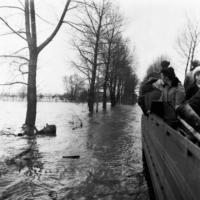 Wielka woda pod Elblągiem. Tak było 40 lat temu... zdjęcie nr 276967