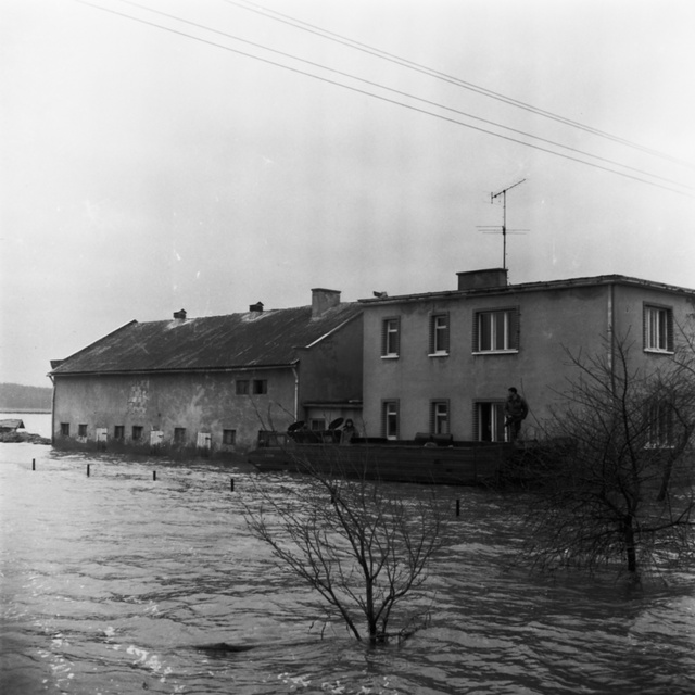 Wielka woda pod Elblągiem. Tak było 40 lat temu... zdjęcie nr 276980