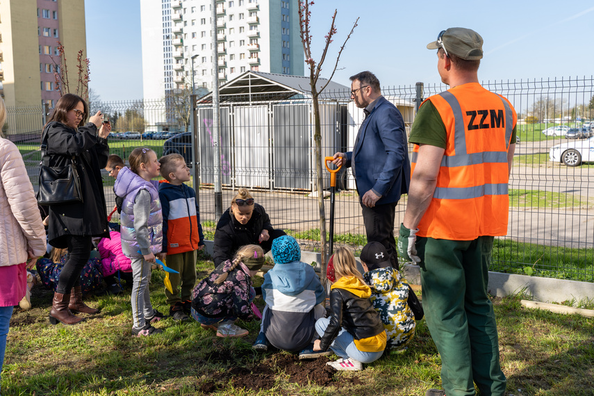 Ekologiczna mapa nasadzeń (bez aktualizacji) zdjęcie nr 282322