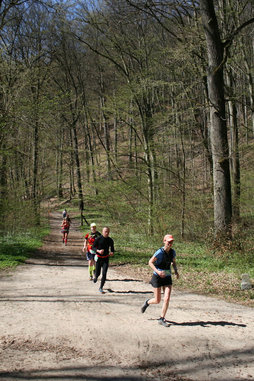 Ultra Wysoczyzna oczami Czytelników zdjęcie nr 283163