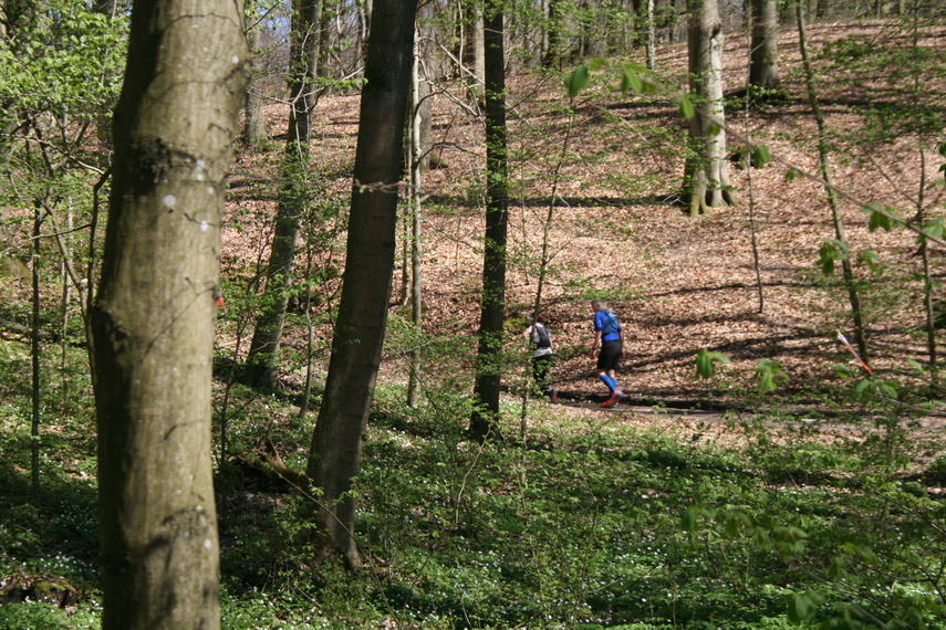 Ultra Wysoczyzna oczami Czytelników zdjęcie nr 283234