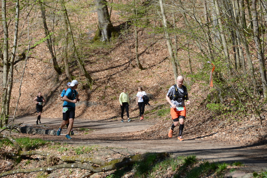 Ultra Wysoczyzna oczami Czytelników zdjęcie nr 282808