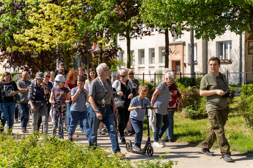 W pięknych okolicznościach przyrody zdjęcie nr 284526