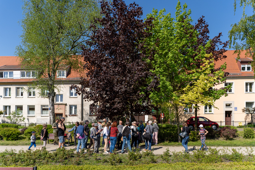 W pięknych okolicznościach przyrody zdjęcie nr 284523