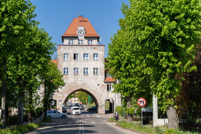 W pięknych okolicznościach przyrody zdjęcie nr 284503