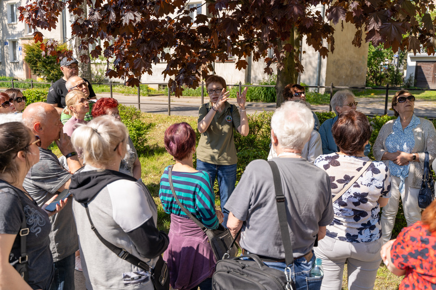 W pięknych okolicznościach przyrody zdjęcie nr 284525