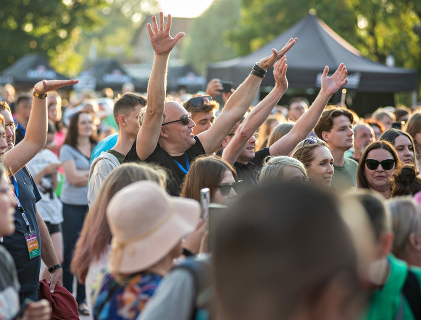 Dni Elbląga: Od Bovskiej do Piekarczyka zdjęcie nr 288273