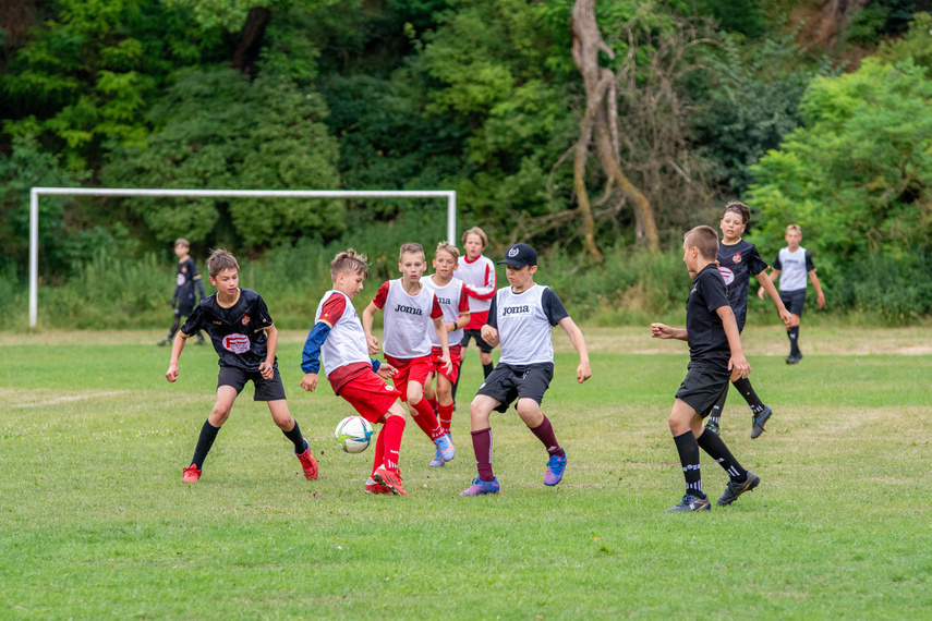 Co łączy futbol i nieruchomości? W Elblągu bardzo wiele! zdjęcie nr 288817