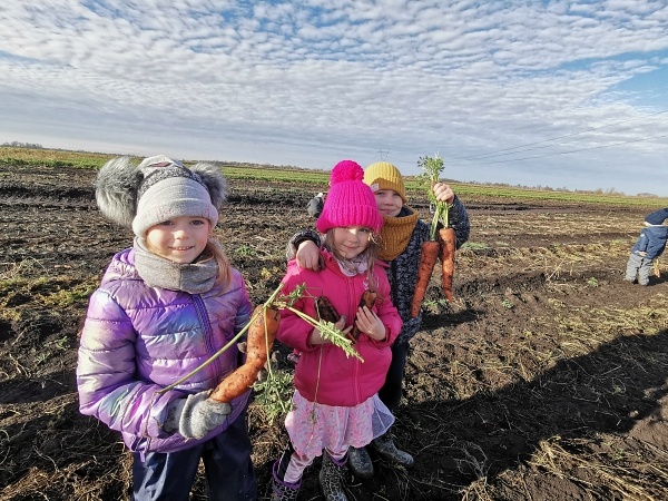 Zerówka w przedszkolu czy zerówka w szkole? Która opcja dla dziecka będzie najlepsza? zdjęcie nr 289003