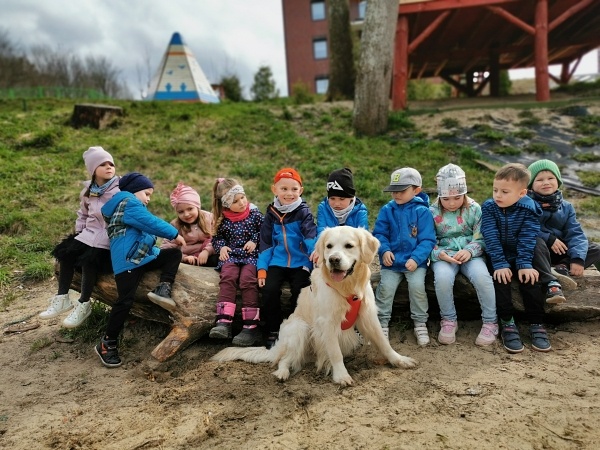 Niesamowity, leśny park zabaw Żłobka, Przedszkola i Zerówki Mały Europejczyk w Elblągu zdjęcie nr 289149