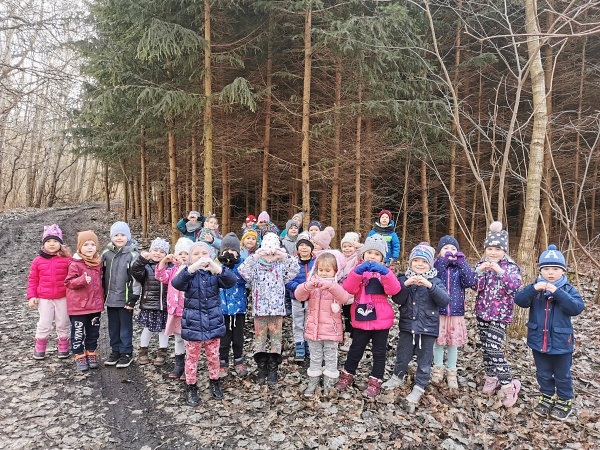 Niesamowity, leśny park zabaw Żłobka, Przedszkola i Zerówki Mały Europejczyk w Elblągu zdjęcie nr 289125