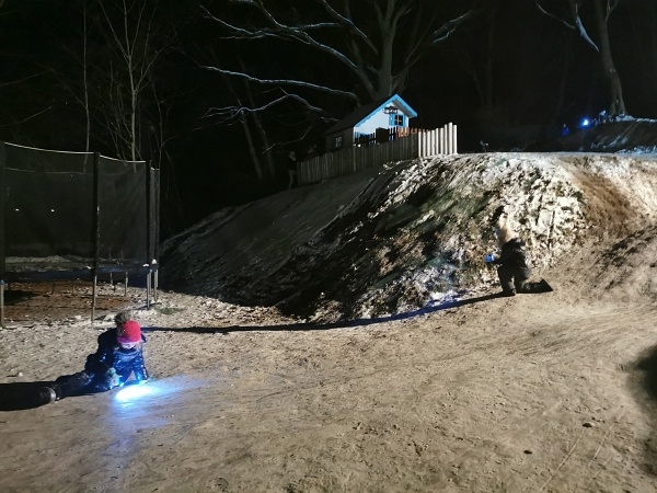 Niesamowity, leśny park zabaw Żłobka, Przedszkola i Zerówki Mały Europejczyk w Elblągu zdjęcie nr 289119