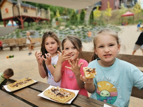 Niesamowity, leśny park zabaw Żłobka, Przedszkola i Zerówki Mały Europejczyk w Elblągu zdjęcie nr 289155