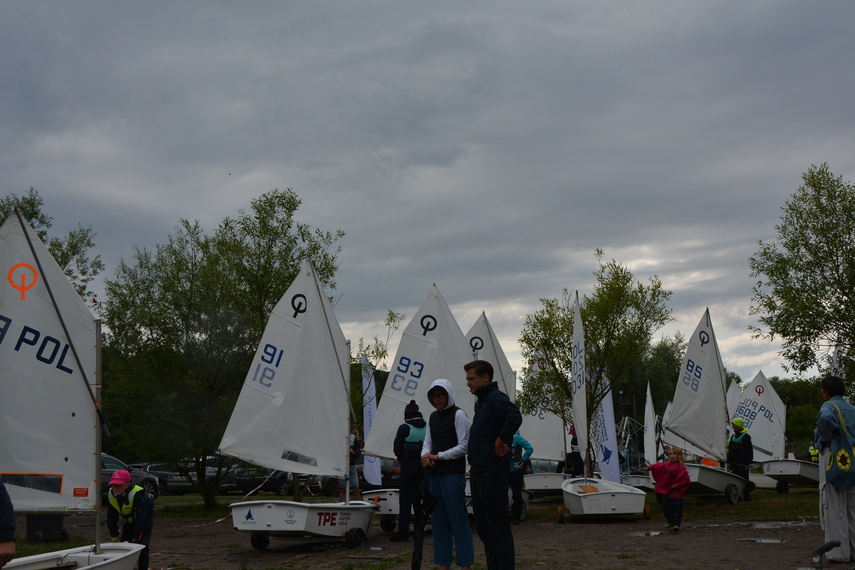 Regaty o Puchar Mariny Elbląg zdjęcie nr 290023